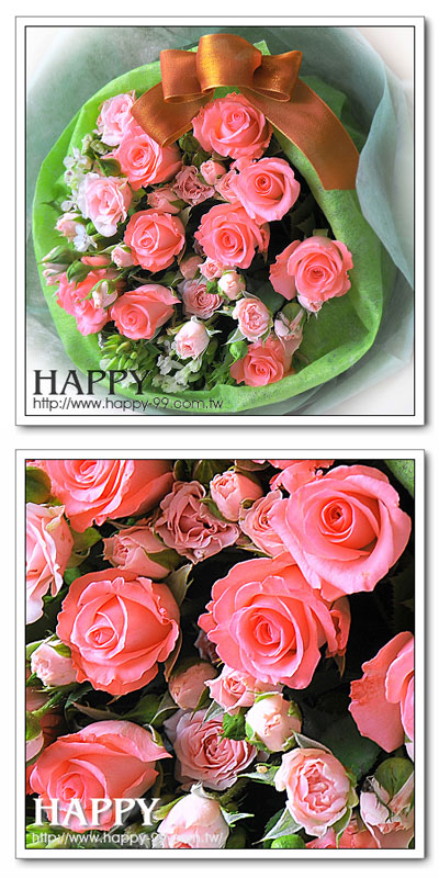 薔薇花的春天