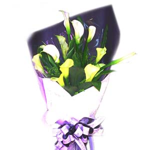 酷酷海芋花束